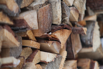 Firewood stack details near home garden.