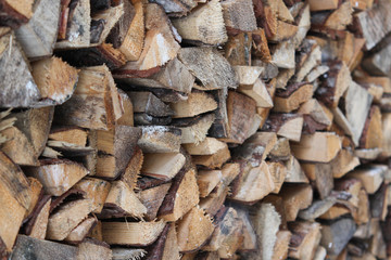 Firewood stacks near home garden.