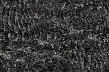 Seamless texture of burned tree. Fire consequences. Abstract background. Burnt wooden surface