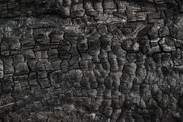 Fototapeta na wymiar Texture of burned tree. Fire consequences. Abstract background. Burnt wooden surface