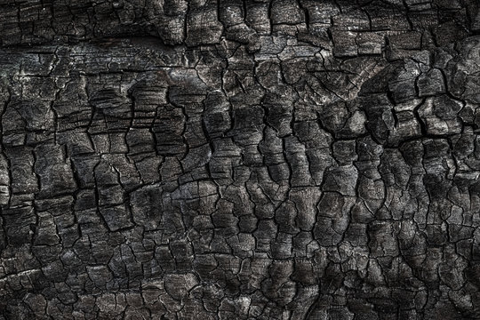 Texture of burned tree. Fire consequences. Abstract background. Burnt wooden surface