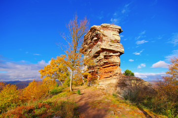 Anebos Burg im Herbst im Pfälzer Wald - castle Anebos in Palatinate Forest in autumn, Germany