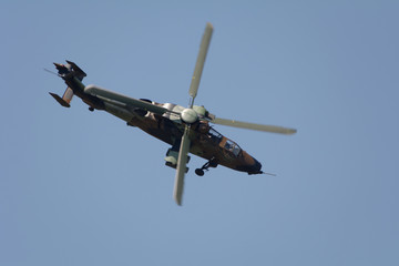 Tigre 2