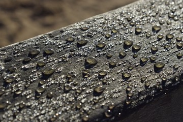 Wooden Rail and Dew Droplets.