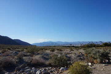 Palm Springs Wind Mills