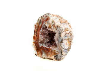 Macro mineral stone agate kidney gerbera on white background close up