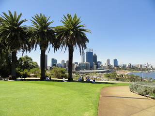 Fototapeta na wymiar Palm trees and skyline against a clear blue sky. Green lawn, concrete sidewalk, people resting in the shadows of the trees. No clouds. View of Perth from the Kings Park, Western Australia. Swan river.