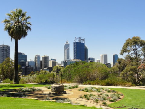Skyline and palm tree against a clear blue sky. Park with green vegetation, green lawn, and a wishing well. Resting and relaxing place. View of downtown Perth from Kings Park, Western Australia.