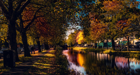 Fototapeta premium A lovely scene from Dublin Canal. Very colorful autumn scene. 