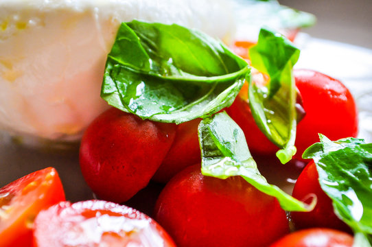 caprese salad