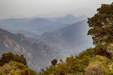 Berglandschaft im Nebel