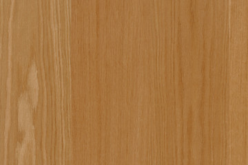 Naklejka premium brown oak tree timber wood surface texture background wallpaper