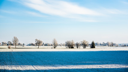 Winter landscape forest view. Frost in fields