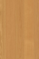 oak tree timber wood wallpaper backdrop structure texture background