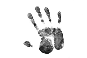 Black prints of hand on transparent paper. Black handprint. Isolated on white. - 240796586