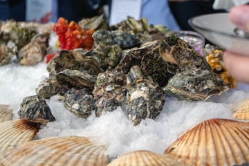 Plates with oysters in the hands of visitors