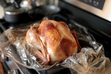 Freshly baked turkey resting on the stove top.