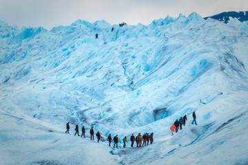Glaciar Perito Moreno. - obrazy, fototapety, plakaty