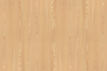 pine tree timber wood surface wallpaper structure texture background