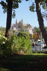 Obraz premium stadt palma de mallorca