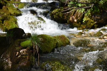Fototapeta premium der gebirgsbach urslau an seinem ursprung in hinterthal pinzgau salzburg
