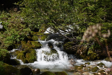 der gebirgsbach urslau an seinem ursprung in hinterthal pinzgau salzburg