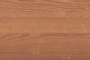 pine tree timber wood surface wallpaper structure texture background