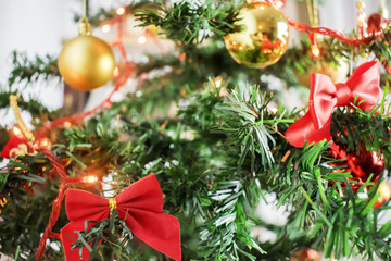Closeup image of beautiful decorated Christmas tree in living room - Image.Background for winter celebrations with decorated Christmas tree - Image