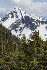 Obraz premium spring