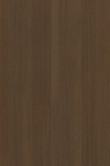 brown walnut tree timber wood structure texture background backdrop