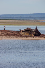 Birds on the Wreck vert