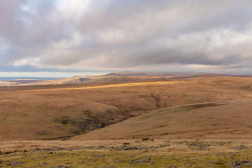 Fototapeta na wymiar Rugged landscape, Dartmoor