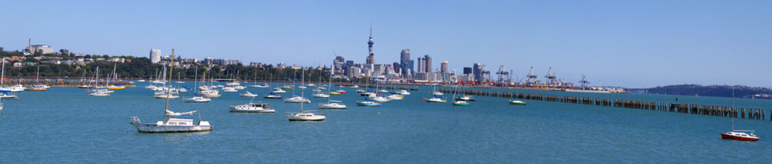 Fototapeta na wymiar Auckland, New Zealand from the Bay