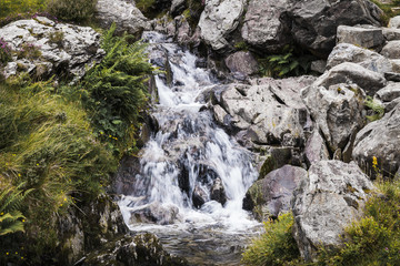 Rocky Waterfall Close Up