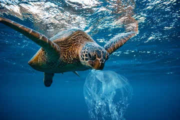 Foto op Canvas Water Milieuvervuiling Plastic Probleem Onderwaterdier © willyam