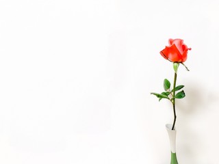 Red rose frame in white and green vase on white background with copy space
