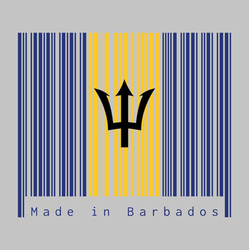 Barcode set the color of Barbados flag, vertical ultramarine and gold color with black trident-head on grey background, text: Made in Barbados. concept of sale or business.