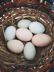Egg basket