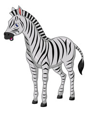 Cute zebra cartoon isolated on white background 