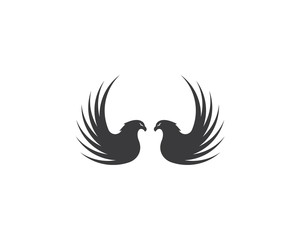 Falcon Eagle Bird Logo Template vecto