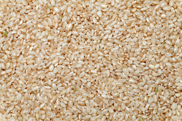 Brown rice texture, Food background