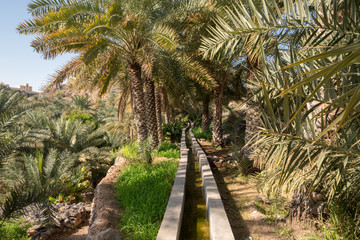 Falaj irrigation system in Oman