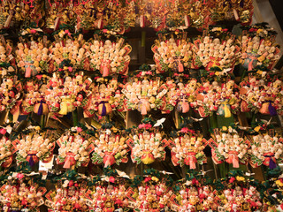 浅草　鷲神社の酉の市