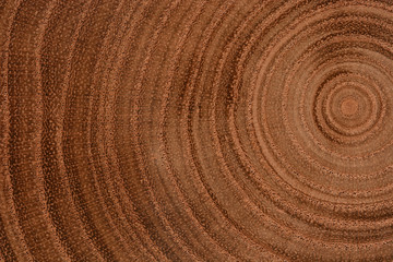 Naklejka premium Growth Rings Bckground