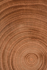 Growth Rings Bckground



