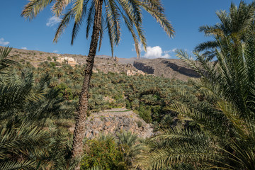 Fototapeta na wymiar The mountain village of Misfat, Oman