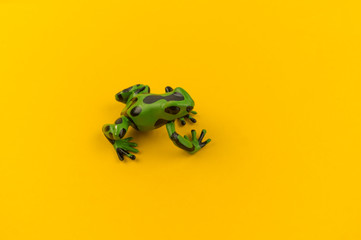 Toy frog from plastic on a yellow background.