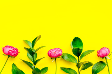 Rose flowers background. Rose roses on yellow background top view copy space border