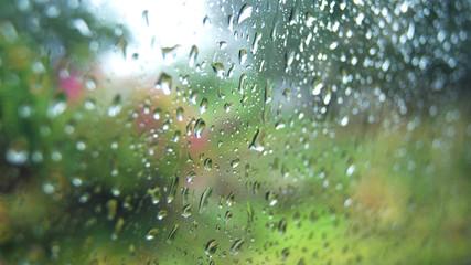Rain drops on glass / Rainy day window glass with Rain drops and green tree nature background