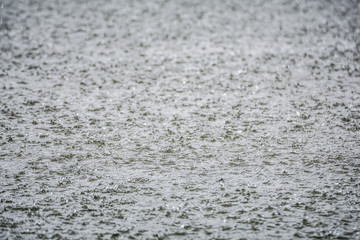 Heavy raining on Surface water background / Texture splashes on the water drops